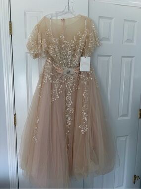 Mac Duggal women’s Blush Champagne Floral Appliqué Tulle Gown